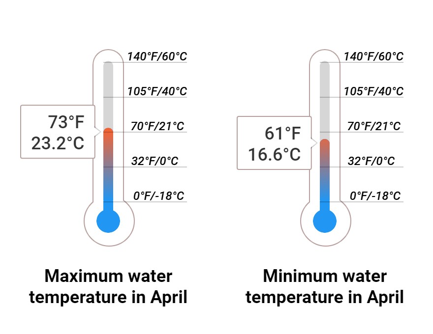 Average Sea temperature